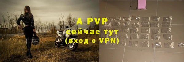 хмурый Нефтекумск