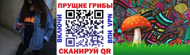 кракен зеркало  Струнино  Галлюциногенные грибы мицелий  где продают  